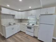 COMPLETELY NEW! RENOD WALKOUT 2BR Bsmt NEW kitchen/bath...