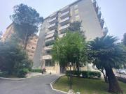 CONCA D'ORO BILOCALE IN AFFITTO