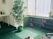 Condiviso/Compagno Di Stanza 12 camere da letto, Milan...