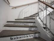 Condiviso/Compagno Di Stanza 12 camere da letto, Turin...