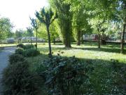 Condiviso/Compagno Di Stanza 1 camere da letto, Milan...