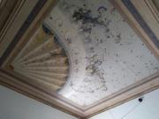 Condiviso/Compagno Di Stanza 1 camere da letto, Naples...