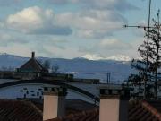 Condiviso/Compagno Di Stanza 1 camere da letto, Padova...