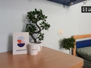 Condiviso/Compagno Di Stanza 2 camere da letto, Milan...