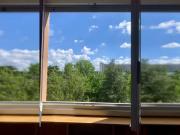 Condiviso/Compagno Di Stanza 2 camere da letto, Milan...