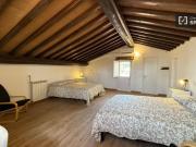 Condiviso/Compagno Di Stanza 2 camere da letto, Rome...