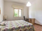 Condiviso/Compagno Di Stanza 3 camere da letto, Bologna...