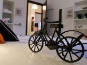 Condiviso/Compagno Di Stanza 3 camere da letto, Brescia...