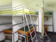 Condiviso/Compagno Di Stanza 3 camere da letto, Florence...