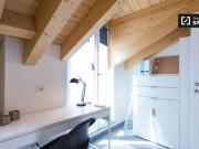 Condiviso/Compagno Di Stanza 3 camere da letto, Milan...