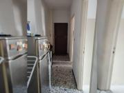 Condiviso/Compagno Di Stanza 3 camere da letto, Milan...