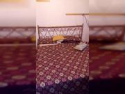 Condiviso/Compagno Di Stanza 3 camere da letto, Rome...