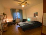 Condiviso/Compagno Di Stanza 3 camere da letto, Rome...