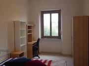 Condiviso/Compagno Di Stanza 3 camere da letto, turin...