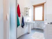 Condiviso/Compagno Di Stanza 4 camere da letto, Bologna...