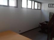 Condiviso/Compagno Di Stanza 4 camere da letto, Bologna...