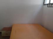 Condiviso/Compagno Di Stanza 4 camere da letto, Bologna...