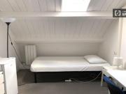 Condiviso/Compagno Di Stanza 4 camere da letto, Rome...