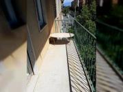 Condiviso/Compagno Di Stanza 4 camere da letto, Rome...