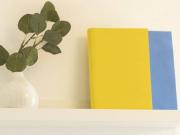 Condiviso/Compagno Di Stanza 4 camere da letto, Turin...