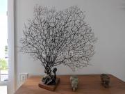 Condo 4 chambres, BORDEAUX Aquitaine 33000 DS92406558