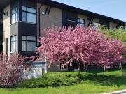 Condo à Louer 2 210 Dublin, Aylmer Gatineau 6 photos |...