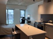 Condo à Louer 530 rue saint Hubert, Ville Marie Centre...