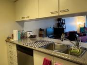 Condo Apartment Property
