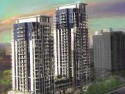 Condo Apartment Property