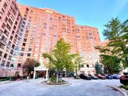 Condo Apartment Property