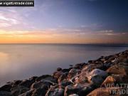 Condo by SMDC Manila for sale