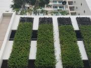 Condo for rent in Cebu City, Marco Polo 2 br, Tower 1...