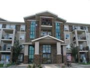 Condo for rent in Terwillegar Park Place