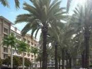 Condo in Paranaque City near Ninoy Aquino International...