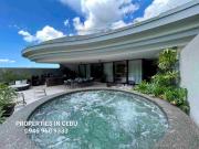 Condo Unit in The Rise at Monterrazas de Cebu