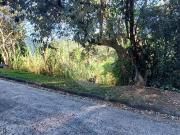 Condomínio à venda em Caraguatá SP
