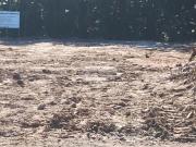 Condomínio à venda em Costa Do Sol SP