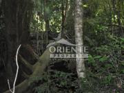 CONDOMINIO BOSQUES LOS RENOVALES HUILO HUILO