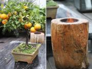 Condomínio CAMAPUÃ Vila Nova Conceição Cobertura de...