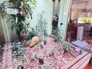 Condomínio com 4 quartos à venda em Chácara Nossa...