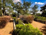 Condomínio com 5 quartos à venda em Condomínio Terras De...