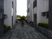 Condominio Edf. Parque Sabia Varzea Recife PE