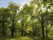 Condomínio exclusivo, com casas de 622m² a 693m² de área...