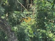 Condominio Nova Paulista Casa à Venda – Condomínio Nova...