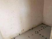 Condomínio Residencial Arboretum Vinhedo/SP