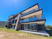 Condor Hue Arelauquen |BAR4170