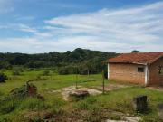 CONFIRA SITIO BASTANTE AGUA E PASTO