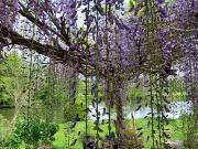 Conflandey 70170 Achat / Vente maison 4 pièces t4