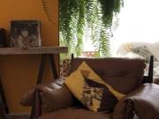 Conforto,seguranca e ambiente acolhedor