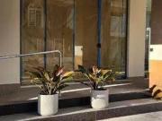 Conj. Comercial / Sala para Locação em Balneário...